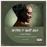 Dr Feel Thula Africa MP3