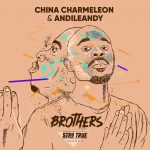 China Charmeleon & AndileAndy Different Meanings MP3