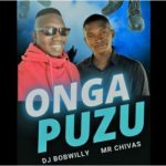 DJ BobWilly & Mr Chivas – Onga Phuzu