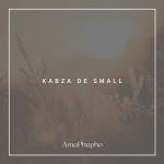 Kabza De Small AmaPhupho MP3