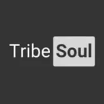 Soul Revolver & TribeSoul – Information Code (Private Tech Mix)