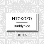 Buddynice – Ntokozo (Redemial Mix)