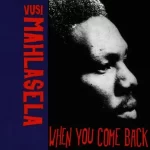 Vusi Mahlasela – When You Come Back