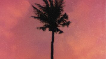 Jay Jody Purple Palm Trees MP3