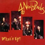 4 Non Blondes  What's Up MP3 