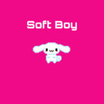Wilbur Soot  Soft Boy MP3 