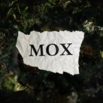 Oxxxymiron  Мох (Moss) MP3 