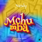 Nandy – Mchumba