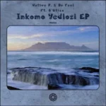 Native P. & Dr Feel – Inkomo Yedlozi Original Mix ft. B’Utiza