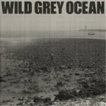 Sam Fender  Wild Grey Ocean MP3 