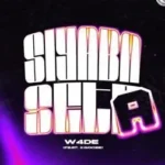 W4DE – Siyaba Seta ft Kgocee