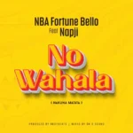 NBA Fortune Bello Ft Napji - No Wahala (Hakuna Matata Audio)